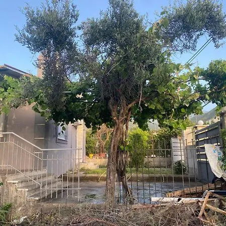 Semesterbostad Ressort *