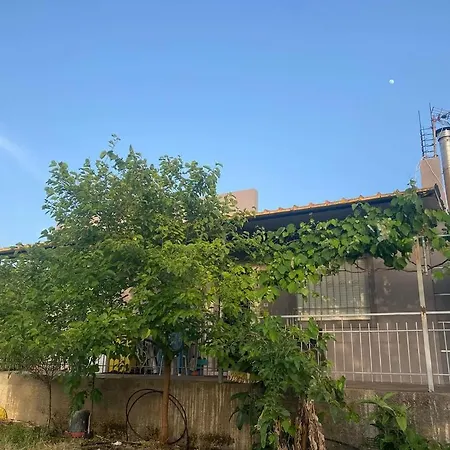 Ressort Vakantiehuis *